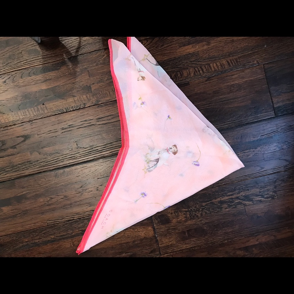 Pink Coach scarf